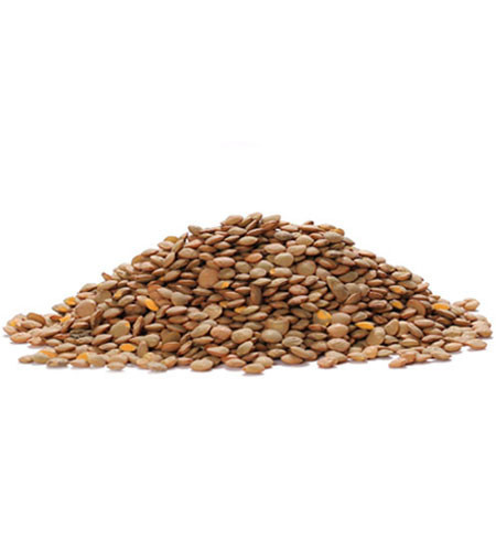 BROWN LENTILS