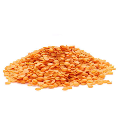 RED LENTILS